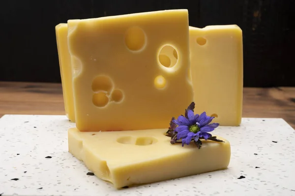 Švýcarská Sýrová Kolekce Žlutá Emmentaler Nebo Emmental Sýr Kulatými Otvory — Stock fotografie