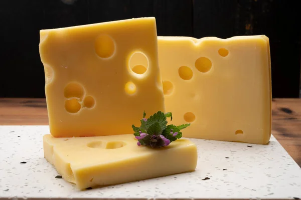 Collezione Formaggi Svizzeri Emmentaler Giallo Emmental Cheese Con Fori Tondi — Foto Stock