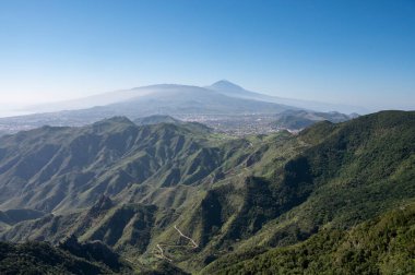 Anaga Ulusal Parkı 'nın yeşil dağlarının panoramik manzarası, Tenerife' nin kuzeyi, Kanarya Adaları, İspanya