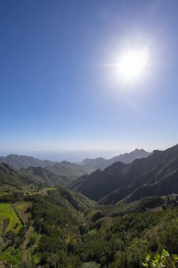Anaga Ulusal Parkı 'nın yeşil dağlarının panoramik manzarası, Tenerife' nin kuzeyi, Kanarya Adaları, İspanya