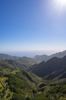 Anaga Ulusal Parkı 'nın yeşil dağlarının panoramik manzarası, Tenerife' nin kuzeyi, Kanarya Adaları, İspanya