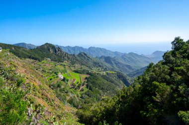 Anaga Ulusal Parkı 'nın yeşil dağlarının panoramik manzarası, Tenerife' nin kuzeyi, Kanarya Adaları, İspanya