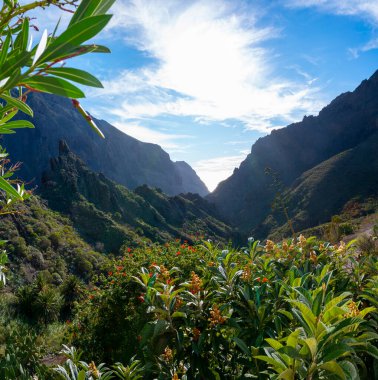 Teno Parkı kırsalındaki dağlar Tenerife 'deki Masca köyü yakınlarında, Kanarya Adaları, İspanya