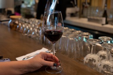 İspanyol Bogeda restoranında kuru İspanyol tempranillo kırmızı şarap tatmak.