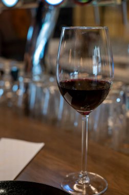 İspanyol Bogeda restoranında kuru İspanyol tempranillo kırmızı şarap tatmak.