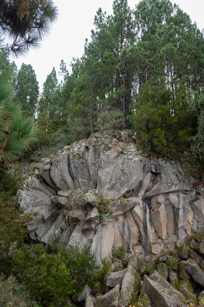 Θέα Στο Λουλούδι Λάβα Piedra Rosa Στο Εθνικό Πάρκο Teide — Φωτογραφία Αρχείου