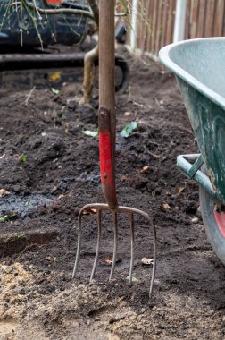 Baharda veya arka bahçede profesyoneller tarafından yenilenen bahçe ve bahçe işleri