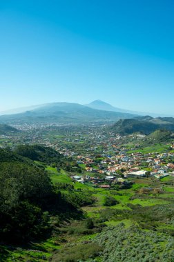 Anaga Ulusal Parkı 'nın yeşil dağlarının panoramik manzarası, Tenerife' nin kuzeyi, Kanarya Adaları, İspanya