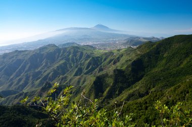 Anaga Ulusal Parkı 'nın yeşil dağlarının panoramik manzarası, Tenerife' nin kuzeyi, Kanarya Adaları, İspanya
