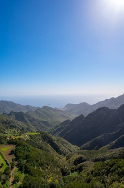 Anaga Ulusal Parkı 'nın yeşil dağlarının panoramik manzarası, Tenerife' nin kuzeyi, Kanarya Adaları, İspanya