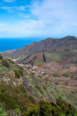 Los Pedregales Dağı, Tenerife kırsalındaki Teno Parkı, Kanarya Adaları, İspanya
