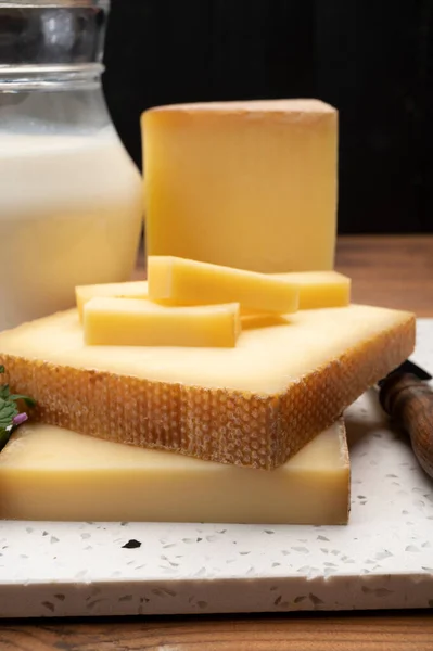 瑞士奶酪系列 用未经消毒的奶牛奶制成的可怕的奶酪 — 图库照片
