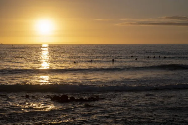 Group of surfers trains in cold water of Atlantic ocean on sunset in winter, Playa de las Americas, South of Tenerife