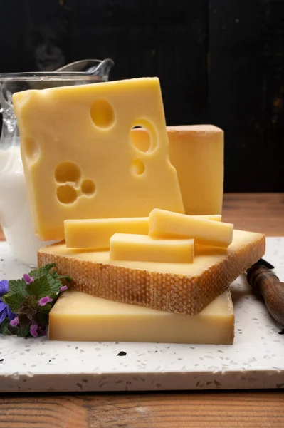 Swiss cheese collection, holes emmentaler and gruyere cheese made from unpasteurized cow\'s milk close up