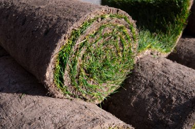 Bahçe yenileme çalışmaları devam ediyor. Baharda ekime hazır yeni yeşil santraller.
