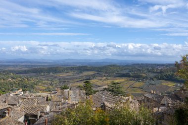 İtalya 'nın Montepulciano, Toskana kentindeki eski çatı, tepe ve üzüm bağlarının manzarası