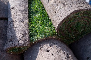 Bahçe yenileme çalışmaları devam ediyor. Baharda ekime hazır yeni yeşil santraller.