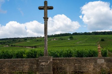 Burgundy şarap bölgesinde Nuits-Saint-Georges yakınlarında taş duvarları olan ünlü Clos pinnot noir üzüm bağları, Fransa