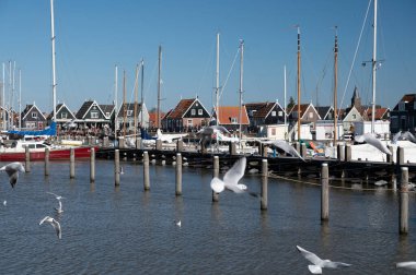 Hollanda 'nın küçük Marken kasabasında güneşli bir bahar gününde eski Hollanda, Hollanda' da bulunan ahşap evlerle yürüyorum.