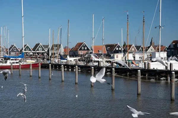 Séta Napsütéses Tavaszi Napon Holland Kisvárosban Marken Fából Készült Házakkal — Stock Fotó