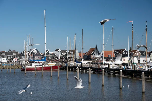 Caminando Soleado Día Primavera Pequeña Ciudad Holandesa Marken Con Casas — Foto de Stock