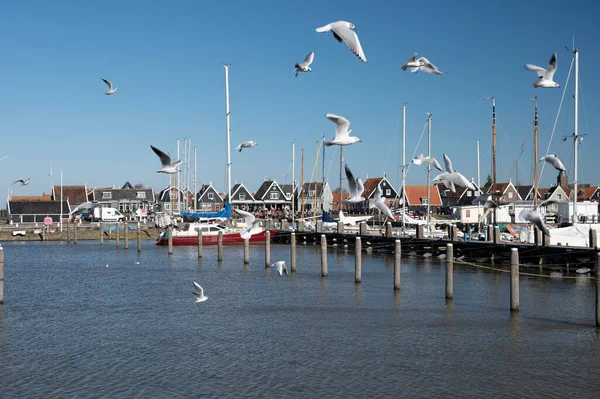 Caminando Soleado Día Primavera Pequeña Ciudad Holandesa Marken Con Casas — Foto de Stock