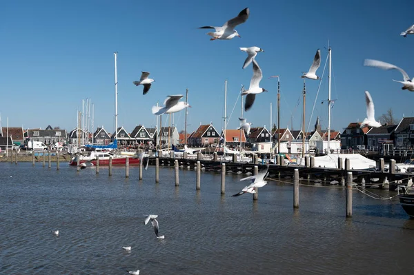 Séta Napsütéses Tavaszi Napon Holland Kisvárosban Marken Fából Készült Házakkal — Stock Fotó