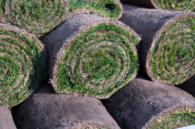 Bahçe yenileme çalışmaları devam ediyor. Baharda ekime hazır yeni yeşil santraller.