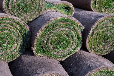 Bahçe yenileme çalışmaları devam ediyor. Baharda ekime hazır yeni yeşil santraller.