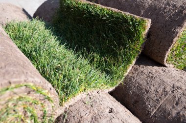 Bahçe yenileme çalışmaları devam ediyor. Baharda ekime hazır yeni yeşil santraller.