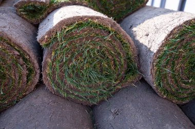 Bahçe yenileme çalışmaları devam ediyor. Baharda ekime hazır yeni yeşil santraller.