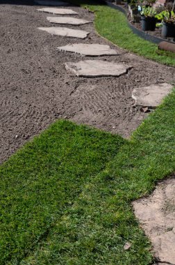 Bahçede doğal yeşil çimenler, yeşil çimenler ve baharda bahçe yenileme işleri.