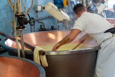 Parma, Reggio-Emilia, İtalya 'daki küçük bir peynir çiftliğinde parmesanlı parmesan peynirinin inek sütlü tekerleklerinden yapılan geleneksel bir işlem.