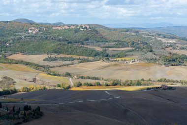 İtalya 'da Montepulciano, Toskana yakınlarındaki tepe ve üzüm bağlarının manzarası