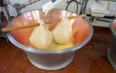 Parma, Reggio-Emilia, İtalya 'daki küçük peynir çiftliğinde parmesanlı parmesan peynirin inek sütünden yapılmış geleneksel bir işlem.