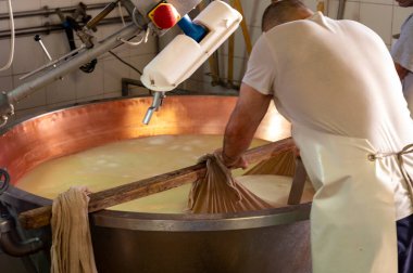 Parma, Reggio-Emilia, İtalya 'daki küçük peynir çiftliğinde parmesanlı parmesan peynirin inek sütü tekerleklerinden yapılan geleneksel işlem.