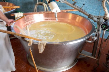 Parma, Reggio-Emilia, İtalya 'daki küçük bir peynir çiftliğinde parmesanlı parmesan peynirinin inek sütlü tekerleklerinden yapılan geleneksel bir işlem.