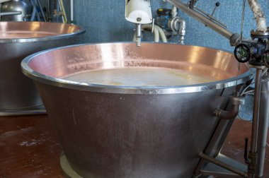 Parma, Reggio-Emilia, İtalya 'daki küçük peynir çiftliğinde parmesanlı parmesan peynirin inek sütünden yapılmış geleneksel bir işlem.