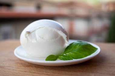 İtalyan yumuşak peynirli beyaz top Mozzarella di Bufala Campana ve taze yeşil fesleğen arka planda İtalyan evleriyle servis edilir.