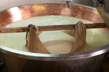 Parma, Reggio-Emilia, İtalya 'daki küçük peynir çiftliğinde parmesanlı parmesan peynirin inek sütü tekerleklerinden yapılan geleneksel işlem.