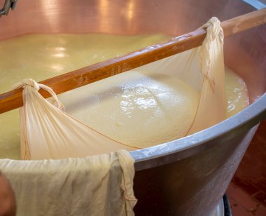 Parma, Reggio-Emilia, İtalya 'daki küçük peynir çiftliğinde parmesanlı parmesan peynirin inek sütünden yapılmış geleneksel bir işlem.