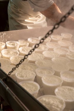 İtalya 'nın Parma kentindeki küçük peynir çiftliğinde sabahın erken saatlerinde taze, yumuşak ricotta peyniri yapma süreci.