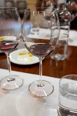 Kırmızı Brunello di Montalcino şarabı ve Montalcino Toskana, İtalya yakınlarındaki kantinde zeytinyağı tatma turu.