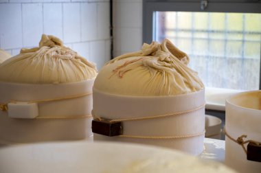 Parma, Reggio-Emilia, İtalya 'daki küçük bir peynir çiftliğinde parmesanlı parmesan peynirinin inek sütlü tekerleklerinden yapılan geleneksel bir işlem.