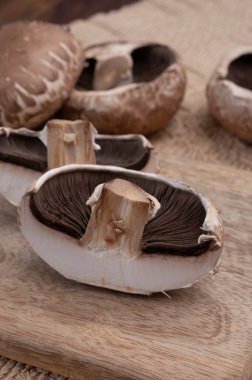 Lezzetli vejetaryen yemekleri, büyük kahverengi şampiyonlar Agaricus bisporus portobello mantarları.