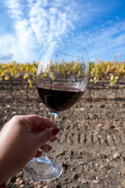 Montepulciano, Toskana, İtalya 'da sonbaharda arka planda tipik tepe üzüm bağları ve selvi ağacı olan kırmızı sangiovese şarabı tatmak