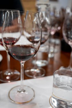 Kırmızı Brunello di Montalcino şarabı ve Montalcino Toskana, İtalya yakınlarındaki kantinde zeytinyağı tatma turu.