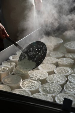 İtalya 'nın Parma kentindeki küçük peynir çiftliğinde sabahın erken saatlerinde taze, yumuşak ricotta peyniri yapma süreci.