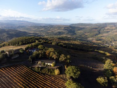 Tepelerdeki hava manzarası, şarap yakınındaki üzüm bağlarındaki renkli sonbahar kasabayı Montalcino, Toskana, hasat sonrası sıralı üzüm bitkileri, İtalya