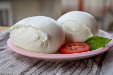 Beyaz İtalyan yumuşak peyniri Mozzarella di Bufala Campana topu taze yeşil fesleğen ve kırmızı domates ile servis edilir.